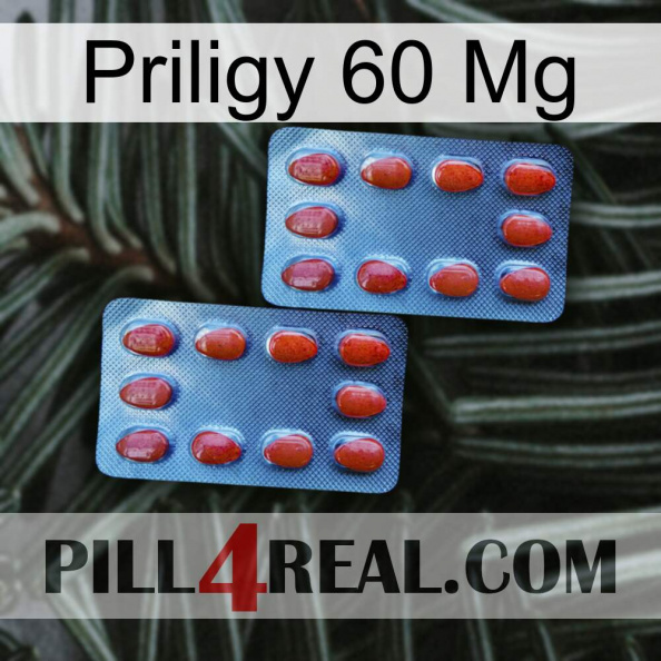 Priligy 60 Mg 05.jpg